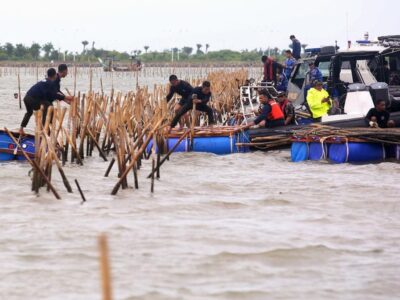 Pembongkaran pagar laut di pesisir Tangerang yang dilakukan oleh TNI AL dan KKP.