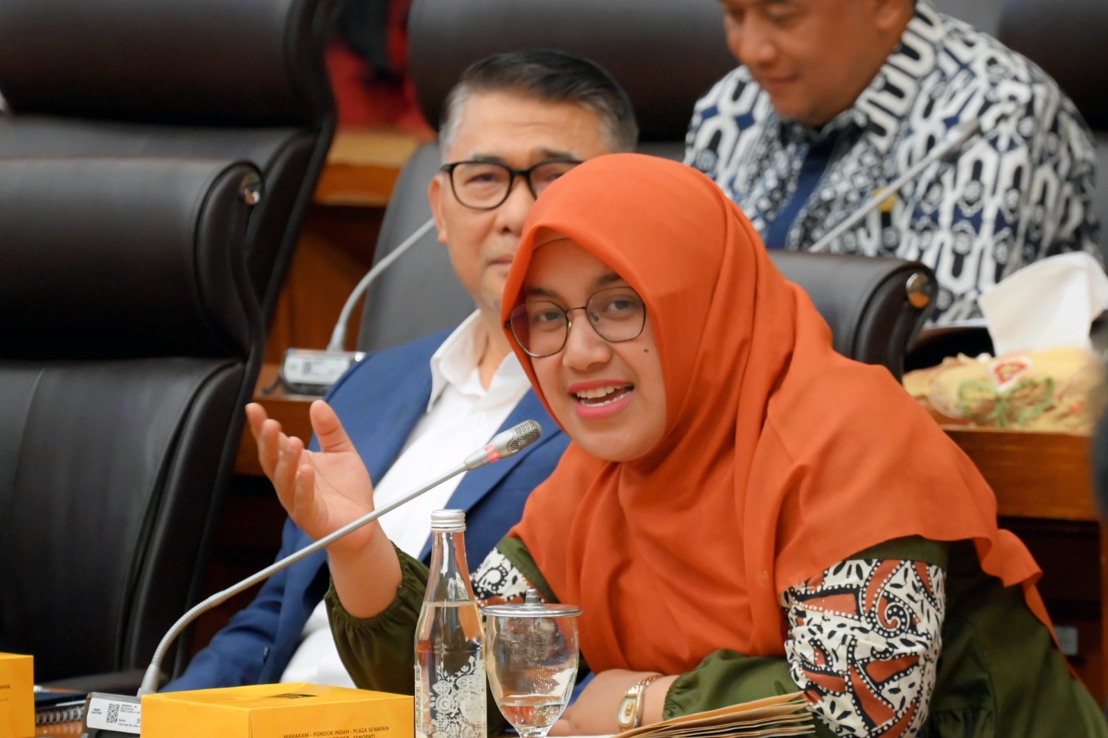Anggota Komisi XII DPR RI, Meitri Citra Wardani.