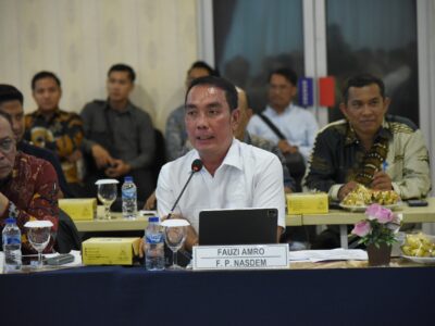 Anggota DPR RI Fraksi Partai Nasdem yang juga Wakil Ketua Komisi XI DPR RI, Fauzi Amro.
