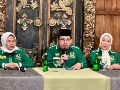 Ketua Mahkamah Partai PPP, Ade Irfan Pulungan