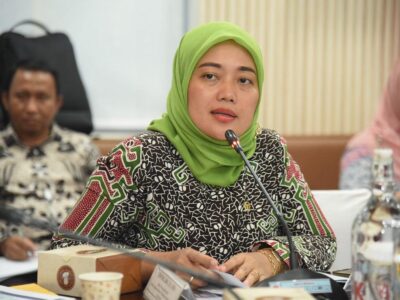 Wakil Ketua Komisi VII DPR RI, Chusnunia